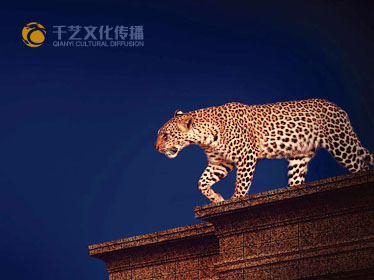 邯鄲市邯山區(qū)千藝文化傳播有限公司